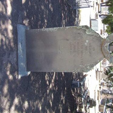 DENISON Charles Walter -1893