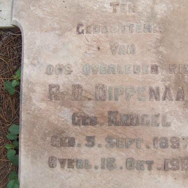 DIPPENAAR R.D. nee KRUGEL 1897-1919