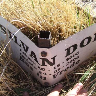 DON Ricardo Shawn Mala 1984-2001 :: DON Silvan 2005-2006