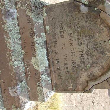 FLETCHER Amelia Ann -1887