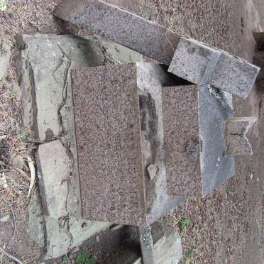 HEMMING Alice Amy 1878-1880