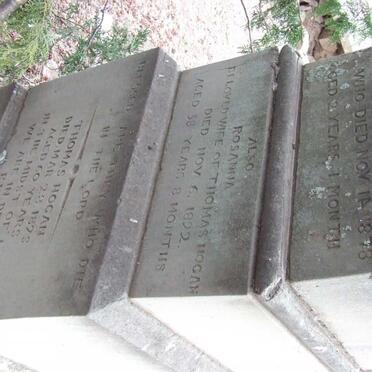 HOGAN Thomas -1893 &amp; Rosanna -1892 :: HOGAN Elidea Rebecca -1878 