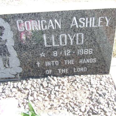 LLOYD Corigan Ashley 1986-1986