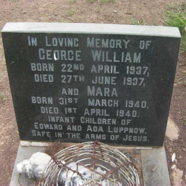 LUPPNOW George William 1937-1937 :: LUPPNOW Mara 1940-1940