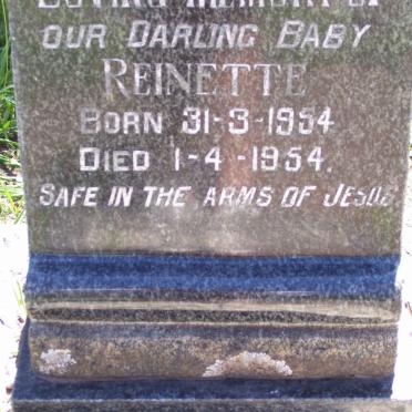 LITTLEFORD Reinette 1954-1954