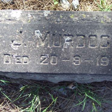 MURDOCH J. -1933