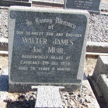 MUIR Walter James -1958