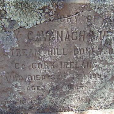 MURPHY Henry Cavanagh -1891