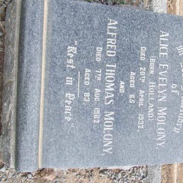 MOLONY Alfred Thomas -1962 &amp; Alice Evelyn HOLLAND -1932