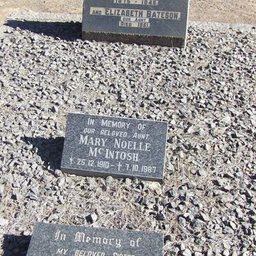 McINTOSH :: BATESON