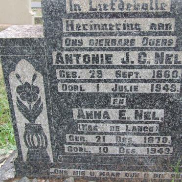 Ne - Surnames starting with the letters Ne