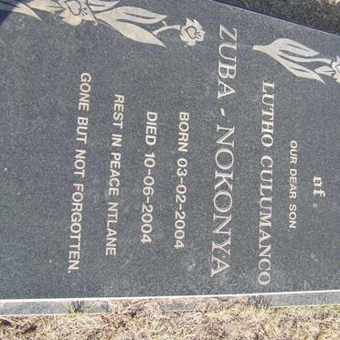 NOKONYA Lutho Culumanco, Zuba 2004-2004