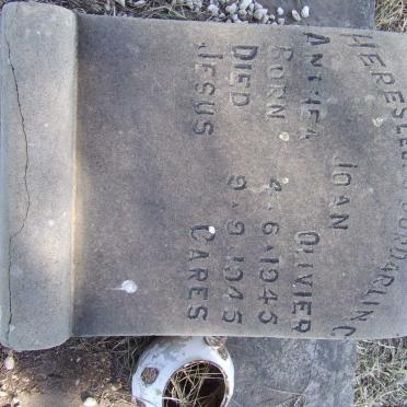 OLIVIER Joan Anthea 1945-1945