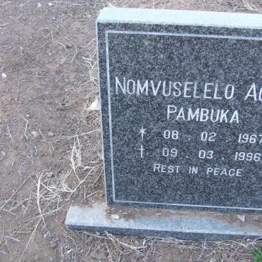PAMBUKA Nomvuselelo Agnes 1967-1996
