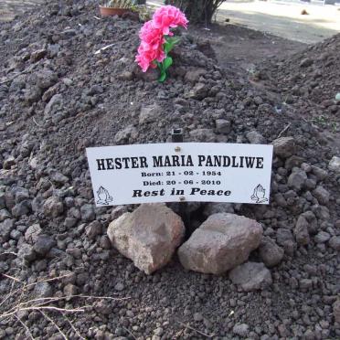 PANDLIWE Hester Maria 1954-2010
