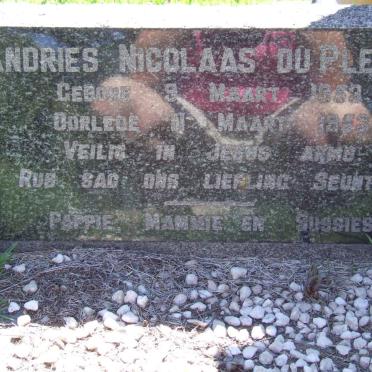 PLESSIS Andries Nicolaas, du 1953-1953
