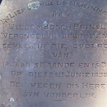 PRINSLOO Willem Bosch -1935