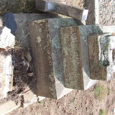 PRETORIUS Bride Christian 1918-1920 :: PRETORIUS Patric William Fenton 1920-1920 