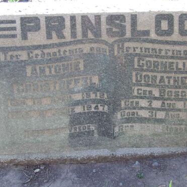 PRINSLOO Antonie Christoffel 1878-1947 &amp; Cornelia Dorathea BOSCH 1884-1942