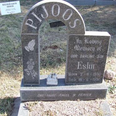 PIJOOS Eslin 1990-1991