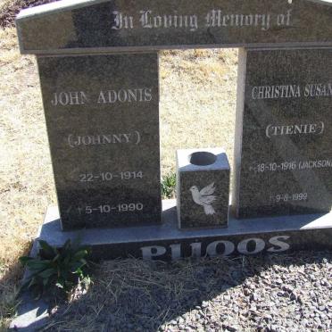 PIJOOS John Adonis 1914-1990 &amp; Christina Susanna JACKSON 1916-1999