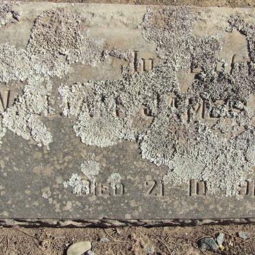 ROBINSON William James -1917