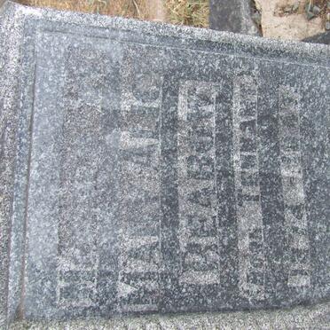 REABOW Mary Alice nee TENNANT 1874-194? 