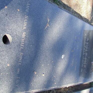 TAYLOR John 1971-1996