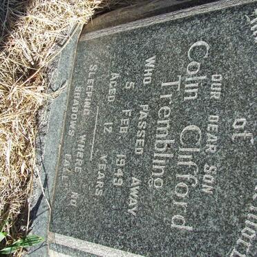 TREMBLING Colin Clifford -1949