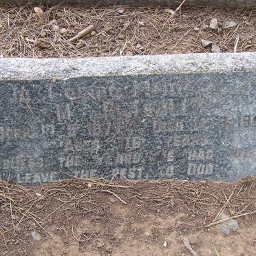 TROLLIP M.J. 1899-1953