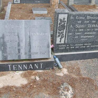 TENNANT Alexander 1905-1987 &amp; Ethel 1912-1983 :: TENNANT A. 1928-1950