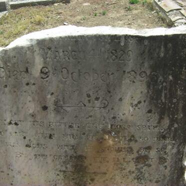 WATERS Pieter 1829-1896