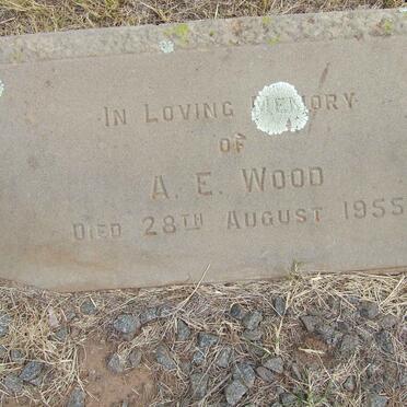 WOOD A.E. -1955
