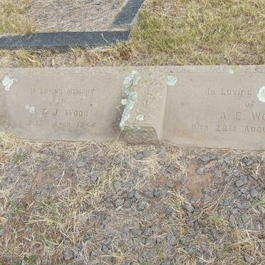 WOOD P.C.J. -1946 &amp; A.E. -1955