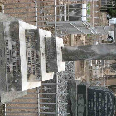 WELLS Ernest Thurburn 1854-1933 :: WELLS Mabel Lilian 1890-1902