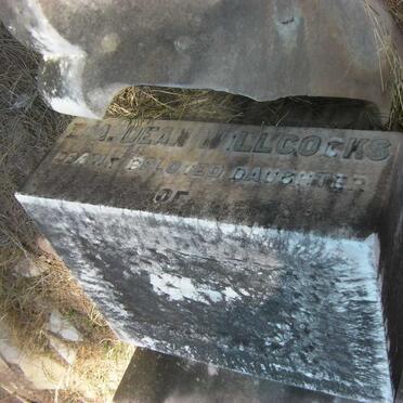 WILLCOCKS E.A., Dean  nee SCORGIE 1878-1901