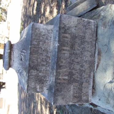 ? Unknown &amp; Illegible Graves