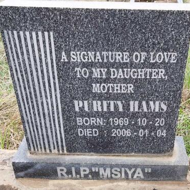 HAMS Purity 1969-2006