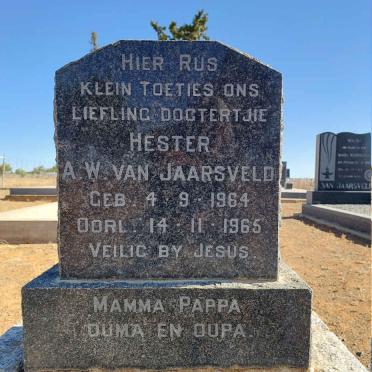 JAARSVELD Hester A.W., van 1964-1965