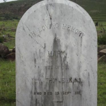 JENKINS Mary -1881