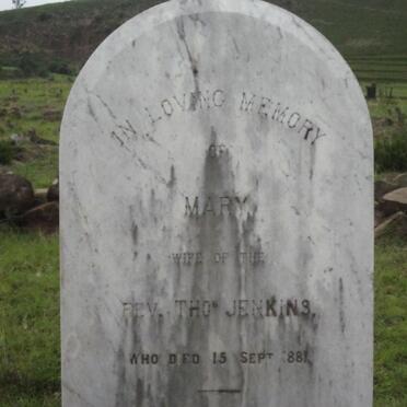 JENKINS Thomas -1868 & Mary -1881 _3