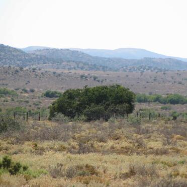 Eastern Cape, STEYTLERVILLE district, Roode Klip 136, Rooiklip farm cemetery