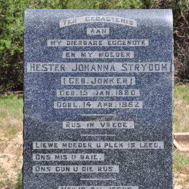 STRYDOM Hester Johanna nee JONKER 1880-1952