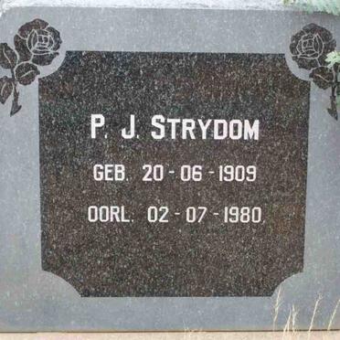 STRYDOM P.J. 1909-1980