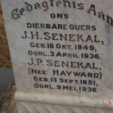 SENEKAL J.H. 1849-1936 &amp; J.P. HAYWARD 1851-1936