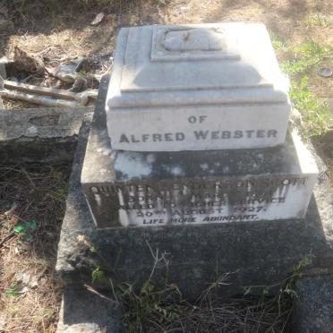 SCOTT Quinten Henderson 1861-1927