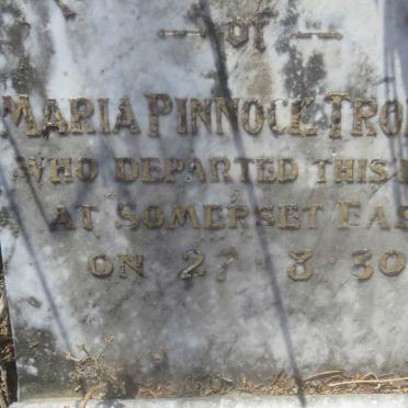 TROLLIP Maria Pinnoce -1930