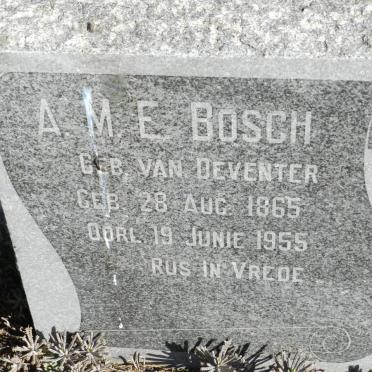 BOSCH A.M.E. nee VAN DEVENTER 1865-1955