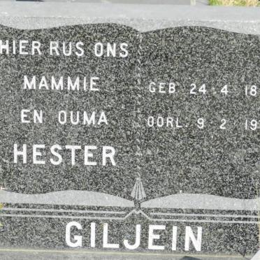 GILJEIN Hester 1893-1978