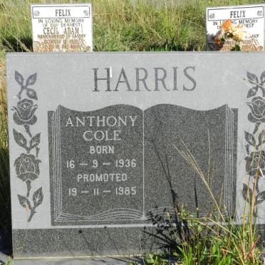 HARRIS Anthony Cole 1936-1985